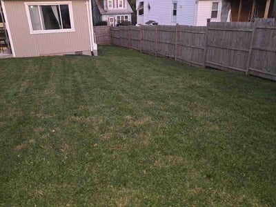 Lawn Care service in Olney, 20832