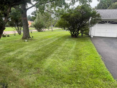 Lawn Care service in Wallingford, 06492