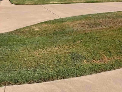 Lawn Care service in Granbury, 76048
