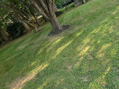 Lawn Care service in Willimantic, 06226