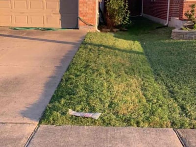 Lawn Care service in Keller, 76248