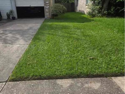 Lawn Care service in Bellaire, 77401