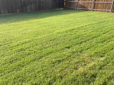 Lawn Care service in Colleyville, 76034