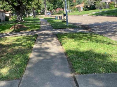 Lawn Care service in Stafford, 77477