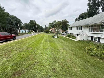 Lawn Care service in Bristol, 06010