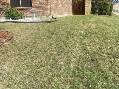 Lawn Care service in Hurst, 76053