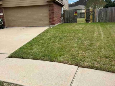 Lawn Care service in Richmond, 77469