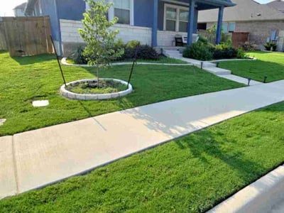 Lawn Care service in ,