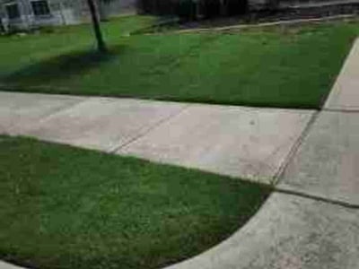 Lawn Care service in ,