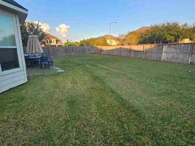 Lawn Care service in Katy, 77493