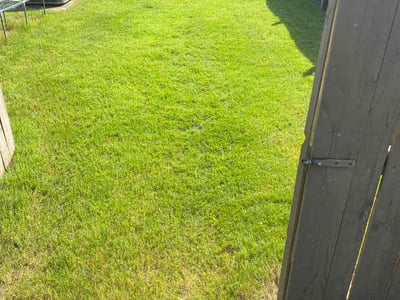Lawn Care service in Owens Cross Roads, 35763