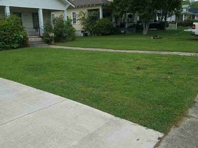 Lawn Care service in Harvest, 35749