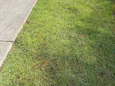 Lawn Care service in Hazel Green, 35750
