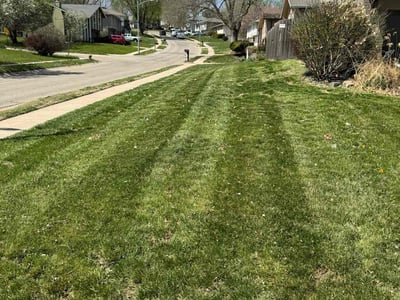 Queens Village Lawn Care & Mowing Services