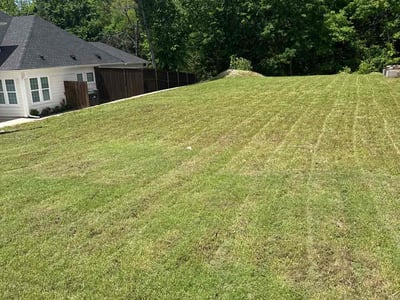 Queens Village Lawn Care & Mowing Services
