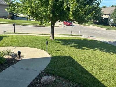Lawn care service in Omaha, 68134