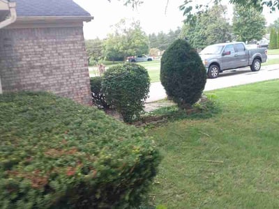Lawn care service in Indianapolis, 46228