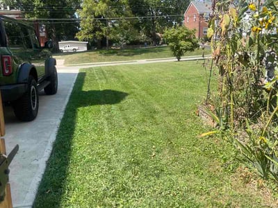 Lawn care service in Cincinnati, 45205