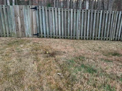 Lawn care service in Stafford, 22554