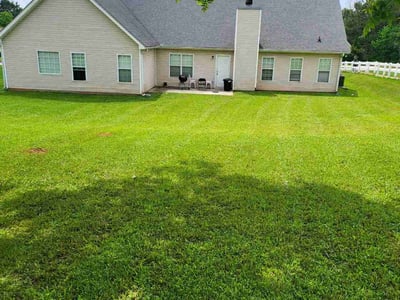 Lawn care service in Covington, 30016