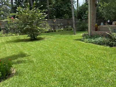 Lawn care service in Spring, 77380