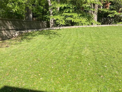 Lawn care service in Atlanta, 30324