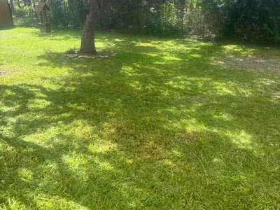 Lawn care service in San Antonio, 78258