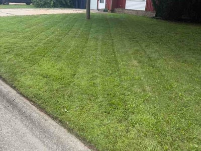 Lawn care service in Janesville, 53545