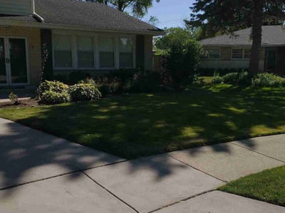 Lawn care service in , 