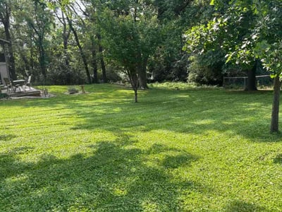 Lawn care service in Kansas City, 64151