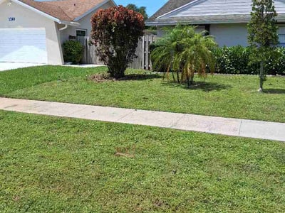 Lawn care service in Wellington, 33414
