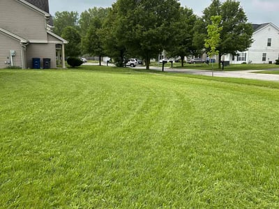 Lawn care service in Toledo, 43615