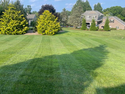 Lawn care service in Lancaster, 17602