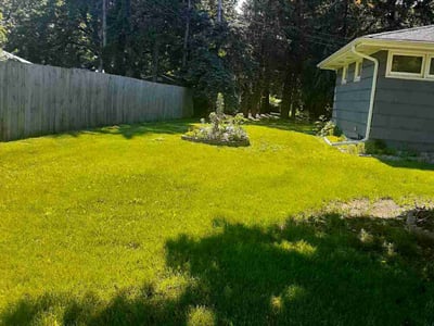Lawn care service in Minneapolis, 55428