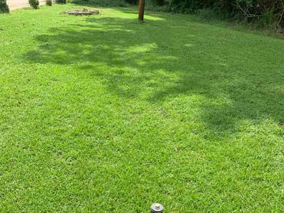 Lawn care service in Townville, 29689
