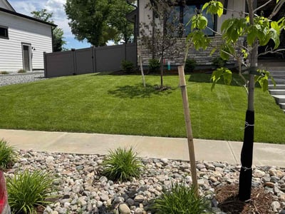 Lawn care service in Berthoud, 80513