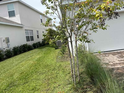 Lawn care service in Orlando, 32832