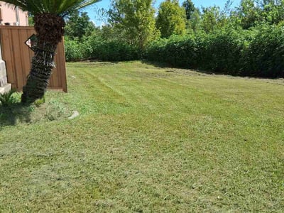 Lawn care service in New Orleans, 70129