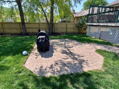 Lawn care service in Omaha, 68122