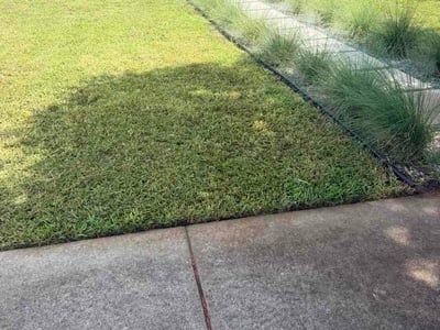 Lawn care service in Miami, 33155