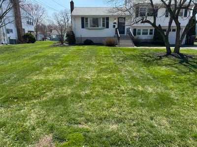 Lawn care service in West Hartford, 06117