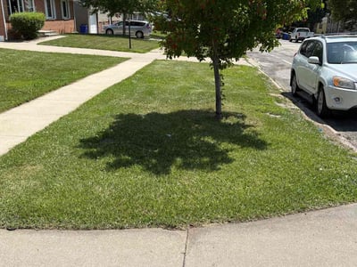 Lawn care service in Cedar Rapids, 52405