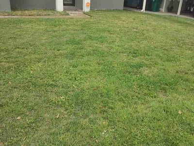 Lawn care service in Pasadena, 77503