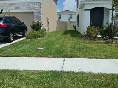 Lawn care service in Land O' Lakes, 34638