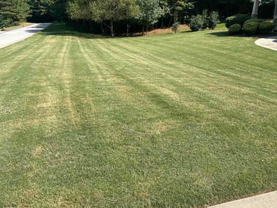 Lawn care service in Palmetto, 30268