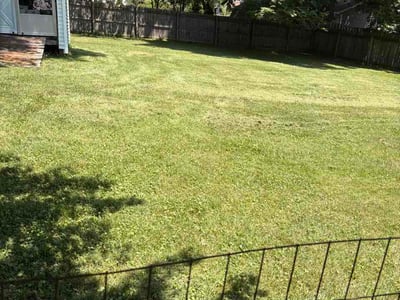 Lawn care service in Bloomington, 47401