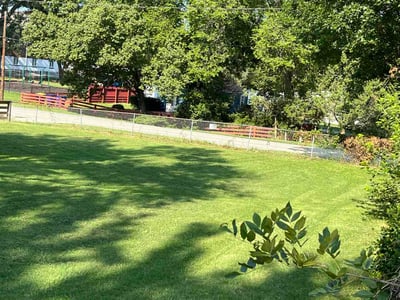 Lawn care service in Raytown, 64138