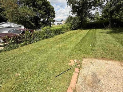 Lawn care service in Louisville, 40218