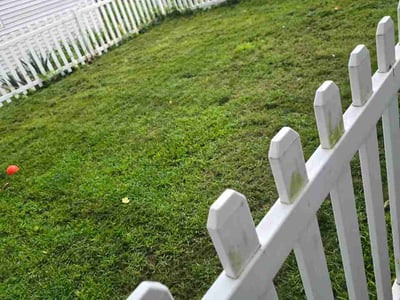 Lawn care service in Branford, 06405