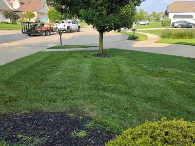 Lawn care service in Willoughby, 44094